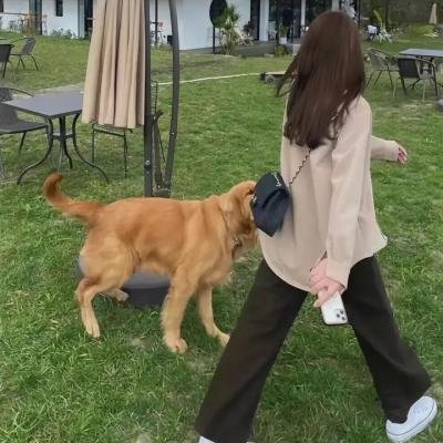 已婚牧师